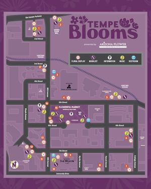Image post by @downtowntempe on Instagram