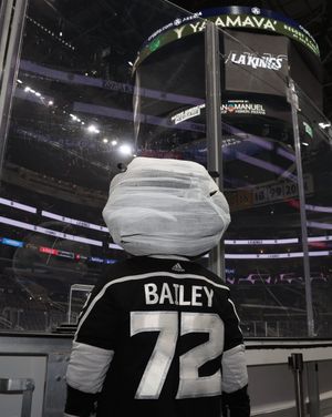 Image post by @BaileyLAKings on Twitter
