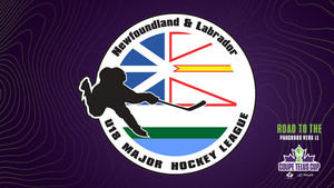 Image post by @HockeyCanada on Twitter