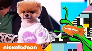Video post by @nickelodeon on YouTube