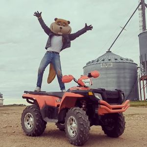 Image post by @goldythegopher on Instagram