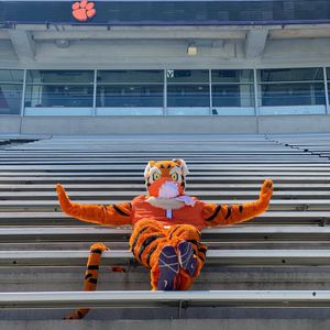 Image post by @thetiger_cu on Instagram