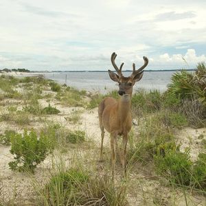 Image post by @rivas_images on Instagram