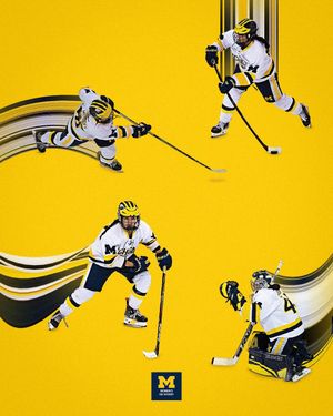 Image post by @umichwhockey on Instagram