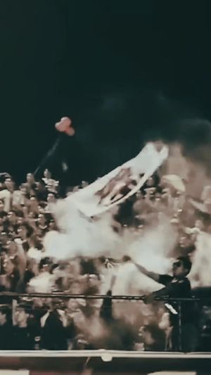 Video post by @guillermokrea on Instagram