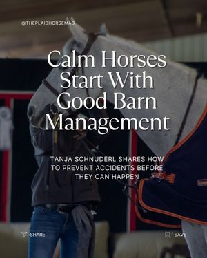 Image post by @theplaidhorsemag on Instagram