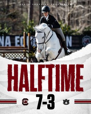 Image post by @gamecockeq on Instagram