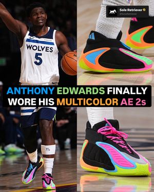 Image post by @soleretriever on Instagram