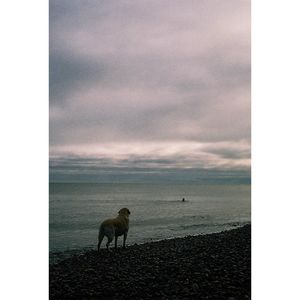 Image post by @kim_sola on Instagram