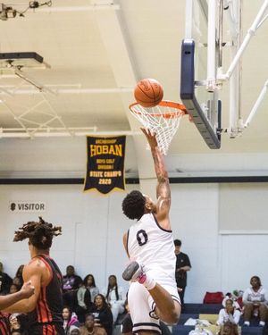 Image post by @hobanhoops on Instagram