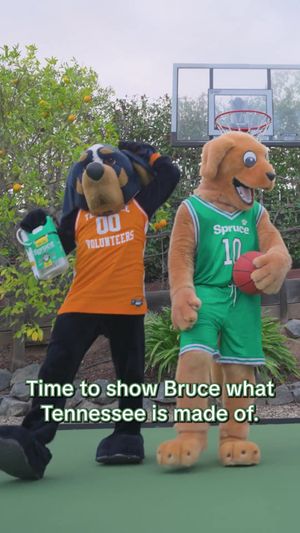 Video post by @vol_sports on TikTok