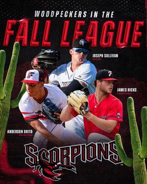 Image post by @fayettevillewoodpeckers on Instagram