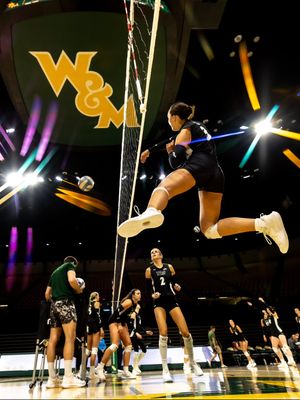 Image post by @tribeathletics on Instagram