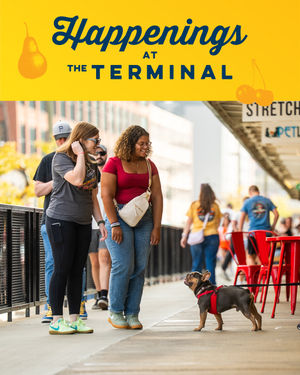 Image post by @sdterminal on Instagram