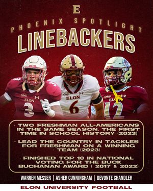 Image post by @elonfb on Instagram