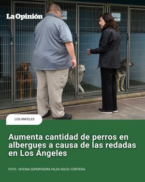 Image post by @laopinionla on Instagram