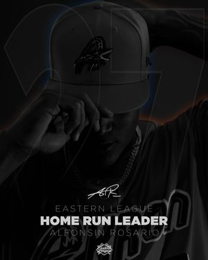 Image post by @akronrubberducks on Instagram