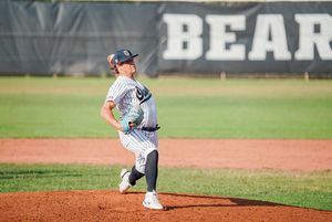 Image post by @OwlzNoCo on Twitter