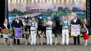 Image post by @wdexpo on Instagram