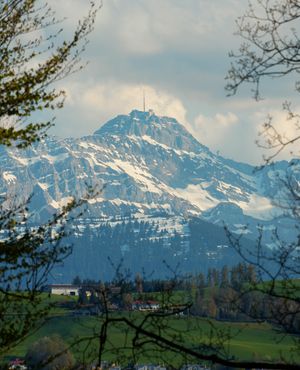 Image post by @losangeles_vibes on Instagram