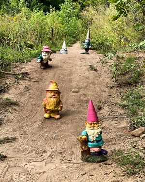 Image post by @loppetfoundation on Instagram