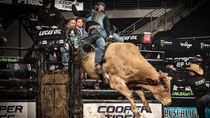 Video post by @pbr on YouTube