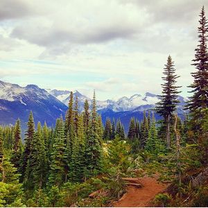 Image post by @whistlerblackcomb on Instagram