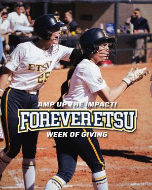 Image post by @etsubucssoftball on Instagram