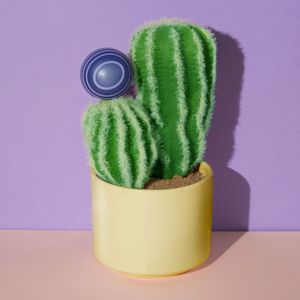 Image post by @eosproducts on Instagram
