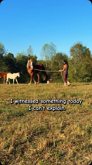 Video post by @oursimple.homestead on Instagram