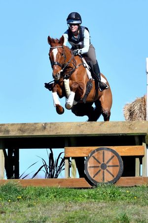 Image post by @nzhorseambulancetrust on Facebook