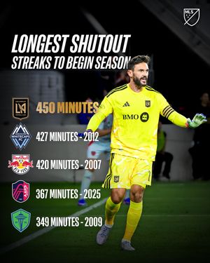 Video post by @mls on TikTok