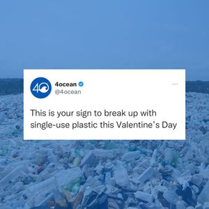 Image post by @4ocean on Instagram