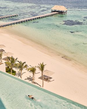 Image post by @shawellness on Instagram