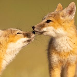 Image post by @bbcearth on Instagram