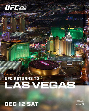Image post by @ufc on Instagram