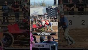 Video post by @speedonfox on YouTube