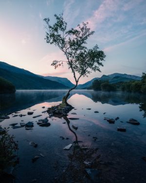 Image post by @fujifilmuk on Instagram