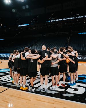 Image post by @vandalhoops on Instagram