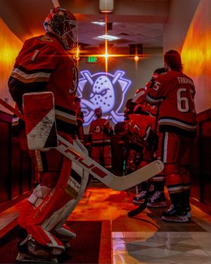 Image post by @AnaheimDucks on Twitter