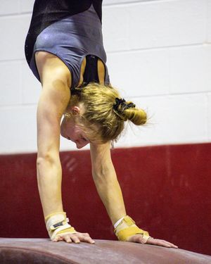 Image post by @niugymnastics on Instagram