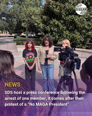 Image post by @lsutigertv on Instagram