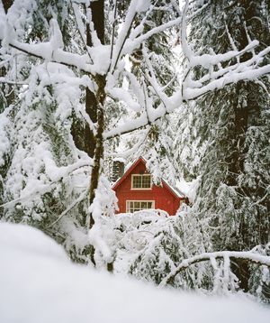 Image post by @fieldmag on Instagram