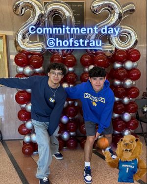 Image post by @hofstrau on Instagram