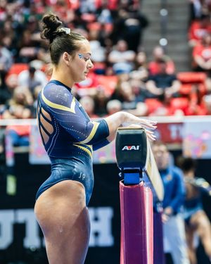 Image post by @wvugymnastics on Instagram