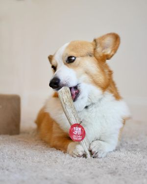 Image post by @farmtopet on Instagram