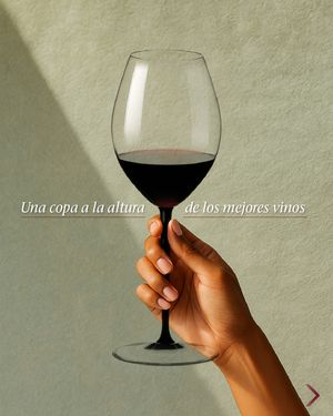 Image post by @riedelpartner_vnzla on Instagram
