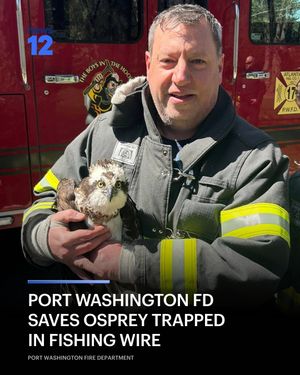 Image post by @news12li on Instagram