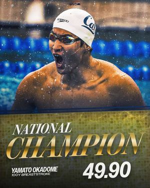 Image post by @calmenswim on Instagram