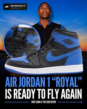 Image post by @soleretriever on Instagram